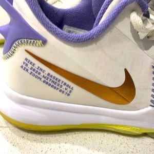 LeBron Witness 5 'Summit White Metallic Bronze'